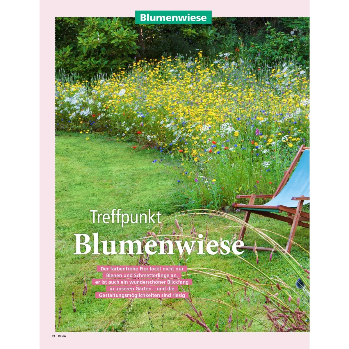 Zeitschrift Mein schöner Garten Spezial 'Rasen & Wiese' 02/25 - Image 5