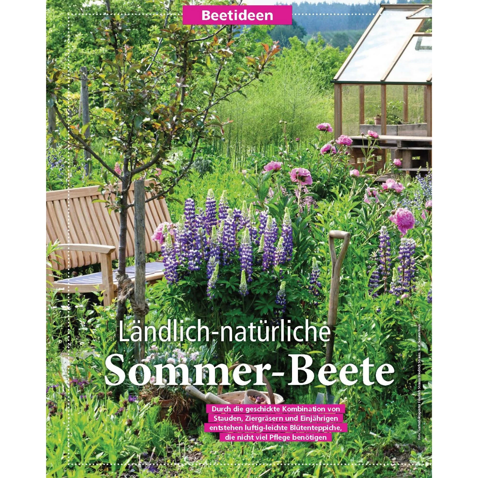 Zeitschrift Mein schöner Garten Spezial 'Beetideen' 02/26 - Image 4