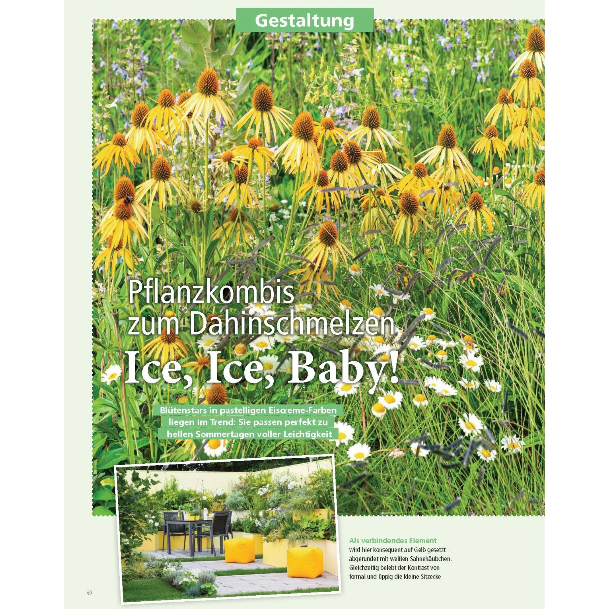 Zeitschrift Mein schöner Garten Spezial 'Beetideen' 02/26 - Image 5