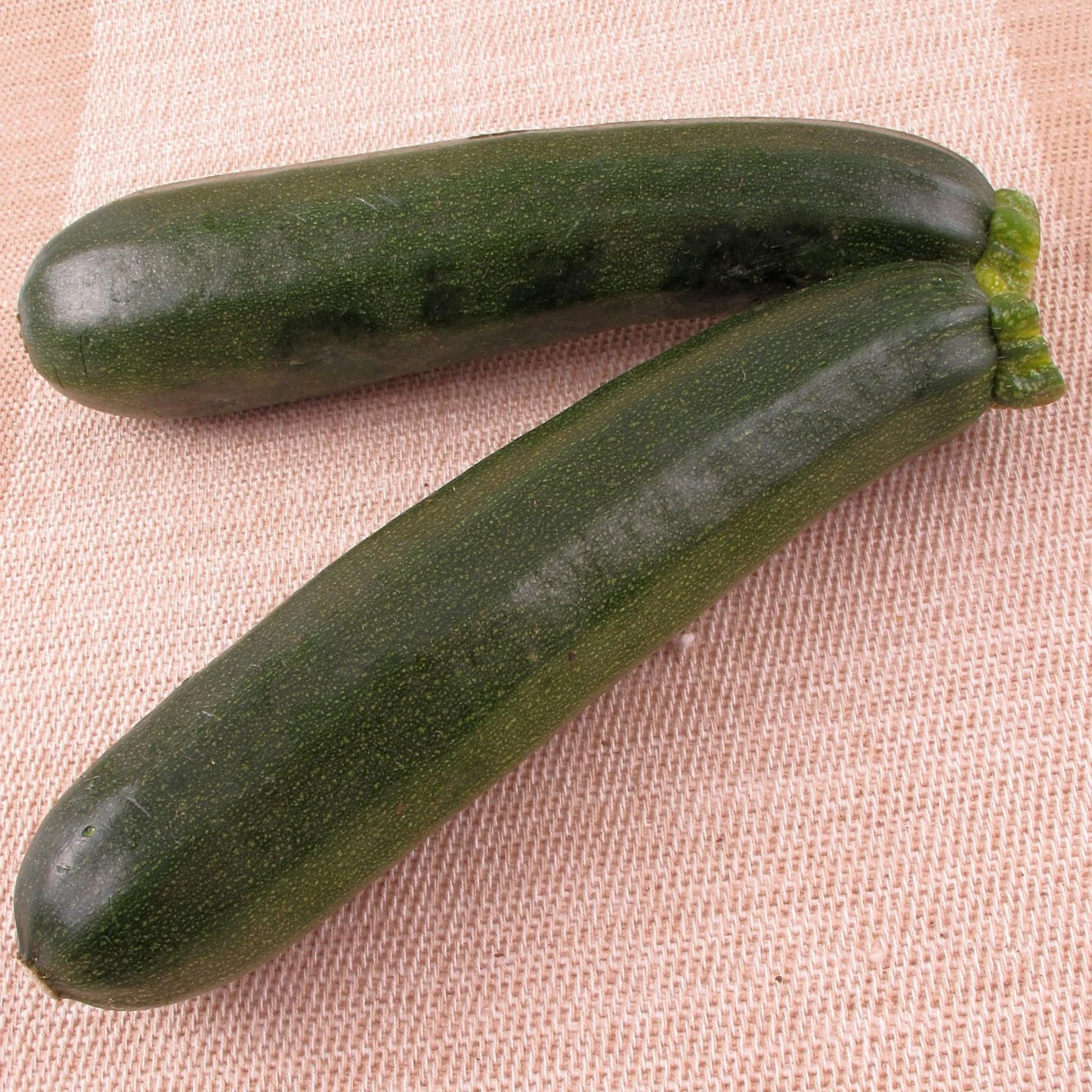 Zucchini 'Easy Pic Green'